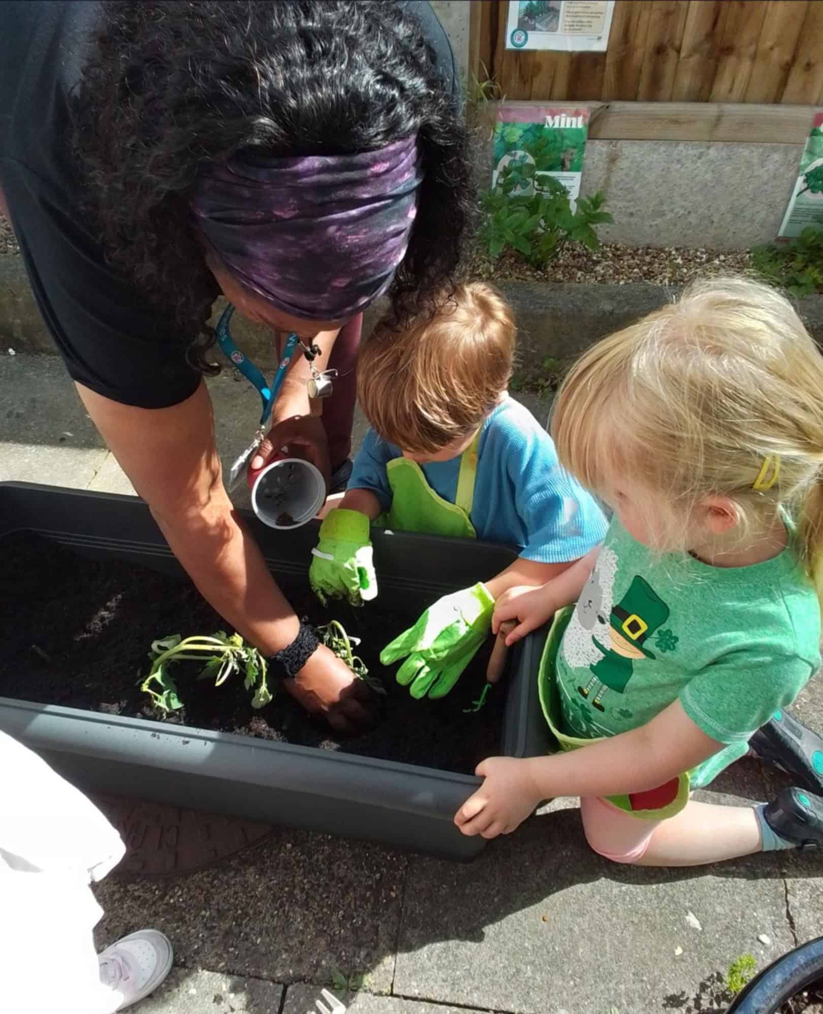 Monkey Puzzle East Sheen Herb Garden Monkey Puzzle East Sheen Herb Garden